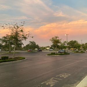 Meet your Posher, Bailey